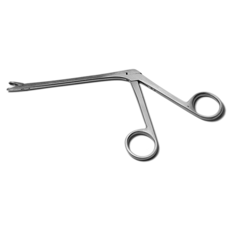 Конхотом с ложкообразными губками